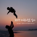 제주하늘을날다