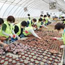 용인시의회 이미지