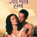 구름속의 산책 이미지