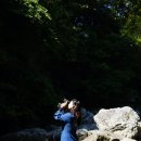 감산리 사무소 | [제주] 추사 김정희가 사랑한 천년의 달빛 안덕계곡에서