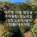 시그마타워 우측(병천순대) | 아기랑 화담숲 10월20일 단풍 후기.