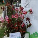 인생커피 | [대구보스코]우리답게 한 야외 결혼식 후기｜대구야외예식장, 대구야외결혼식 (1부+2부)