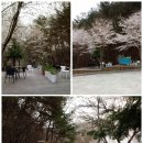 별 정원 이미지