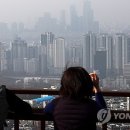 이동-5 연합뉴스TV