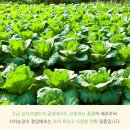 서하농장 이미지