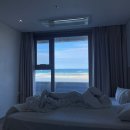다니엘스키친성산 | 제주여행 2일차 Ι 함덕 에벤에셀, 담백, 전이수갤러리, 만두상점, 구좌 무슈부부커피스탠스, 여름...