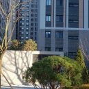 하림건축사사무소 이미지