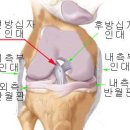 마음만은 프로축구 선수인 카페회원님들께...^^ 이미지