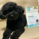 폴리파크 반송점 이미지