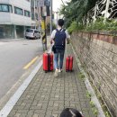 공항중학교 버스정류장 이미지