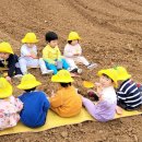 도윤농장 이미지