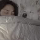 줄리스토리