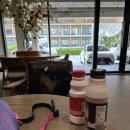 알리바바 호텔 | 크라비2 꼬록꼬하 투어, 끄라비 맛집추천 알리바바