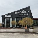 커피와 식물 평화로운 풍경까지 즐기는 익산 카페 추천 노래하는 새 메뉴판 솔직후기