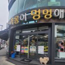 야옹아 멍멍해봐 대흥점 이미지