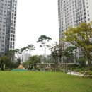 푸르지오씨티공인중개사사무소 | 파주 힐스테이트더운정 부동산과 파크푸르지오씨티 공인중개사사무소 살펴보기