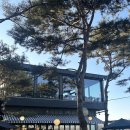 두리몽 | 파인힐 커피하우스 : 내돈내산 여러번 방문 후기 / 메뉴추천 / 숲속카페 / 서울근교 전망 좋은 카페