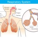 신평한의원 이미지