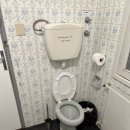 이지민박 이미지