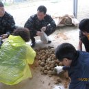 송탄중학교 이미지