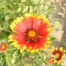 혜민농장 이미지