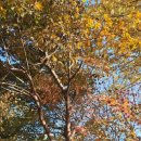 남한산성면 해공로 1 이미지