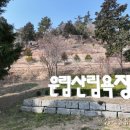 산림욕장 이미지