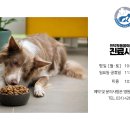 인덕원동물의료센터 이미지