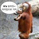 무리달