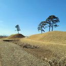 행정사사무소 세종 이미지