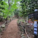 팔영산 자연휴양림 야영장 이미지