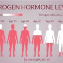 여성 호르몬 요법[postmenopausal hormonal therapy] 이미지