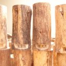 통나무이야기 이미지