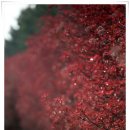 탐라대학교 이미지