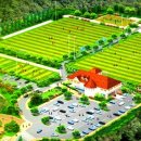 희망체육공원 이미지