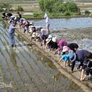 호명초등학교 이미지