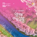 봄;살롱 이미지