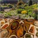 수목원레저 | 경기도 파주 가볼 만한 곳 벽초지 수목원 가을축제 국화축제, 사색찬미한정식 파주 여행 가을 여행지 추천