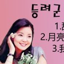 등려군 베스트 3곡/月亮代表我的心/鄧麗君/甜蜜蜜/我只在乎你등려군/가사/해석 이미지