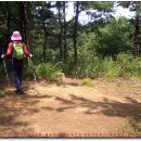 목상초교 이미지