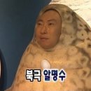 뉴이아