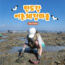 유동어촌체험마을 | [탄도항 어촌체험마을 후기] 갯벌체험, 예약·주차·이용팁 총정리!🐚