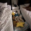 부곡온천 | 부곡온천 가족탕 창원 근교 스파디움 리뉴얼 객실 아기랑 후기