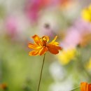희야포토