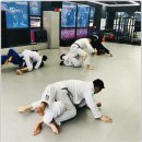 강동와이어주짓수 | 천안와이어주짓수 월드 노기 캠프 참여 후기^^!