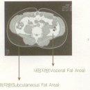 체성분 분석기(인바디)의 이해(2) 이미지