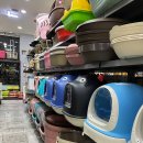 야옹아멍멍해봐(원성점) 이미지