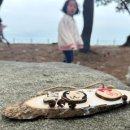 도양-2호 이미지