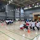 푸른숲유치원 이미지