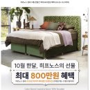 (주)레이델코리아 신세계백화점 타임스퀘어점 | 강남침대 보고 바로 결정했어요